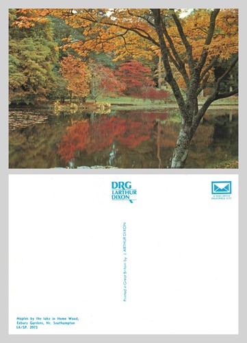 Postcard maples the - postcard, lake