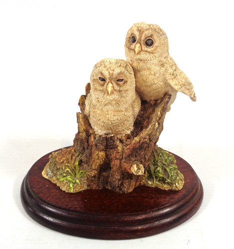 Border fine arts - border, owlets