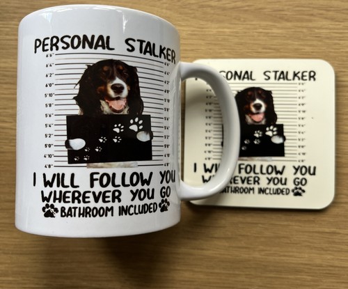 Springer spaniel mug - springer,