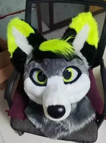 Long fur husky - husky, dog