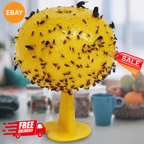 Fruit fly balls ball - fruit,