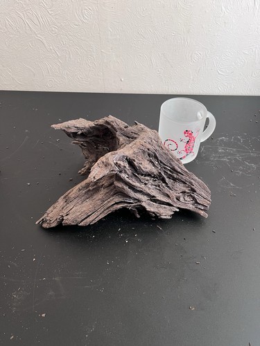 Mopani bogwood aquarium decor - bogwood,