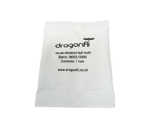 Dragonfli horse chestnut - horse,