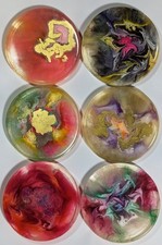 Set Of 6 Colourful Resin