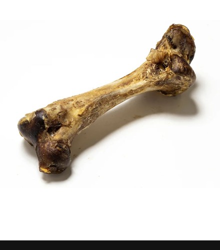 Jumbo ostrich bone dog - ostrich, 🦴