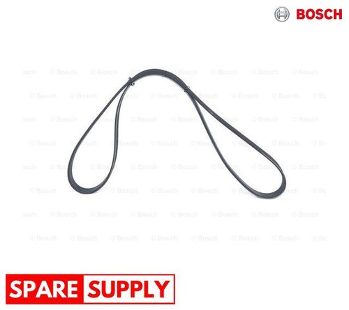 Ribbed belts for renault - v-ribbed,