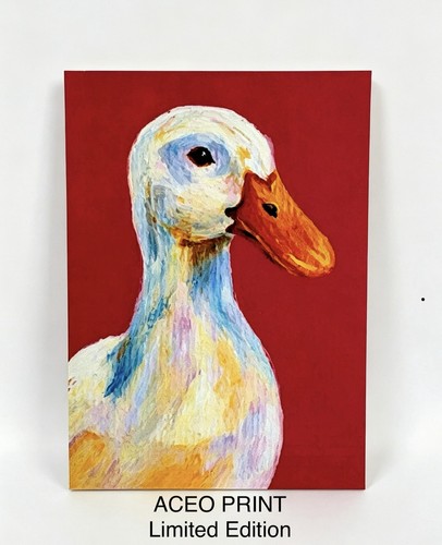 Aceo print duck - print-duck, bird