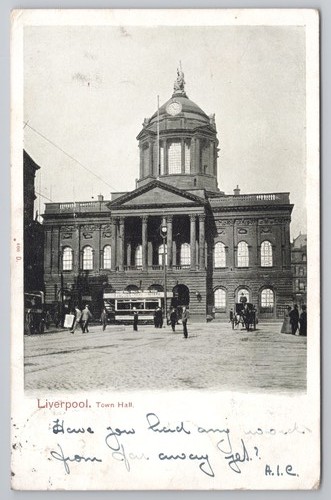 Liverpool town hall horse - hall,