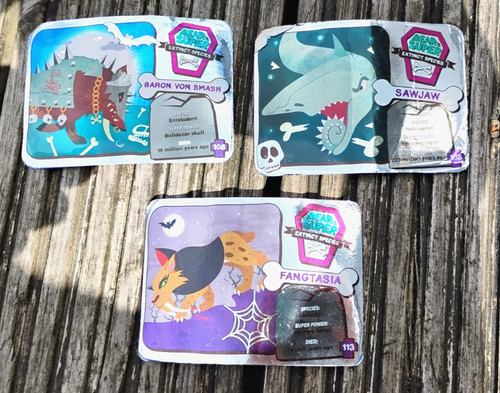 Yoyo bear cards super - bear, extinct