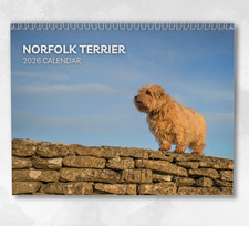 Norfolk Terrier Calendar 2026: Monthly Wall Calendar with Notes, opens to A3