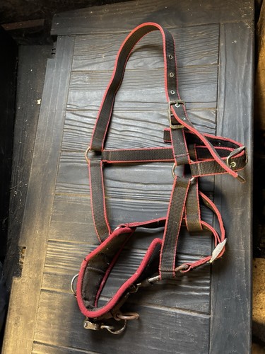 Lunging cavesson red black - cavesson,, &