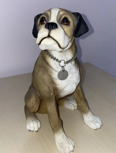 Large handsome boxer dog - boxer,
