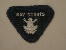 Boy Scouts Wolf Cub