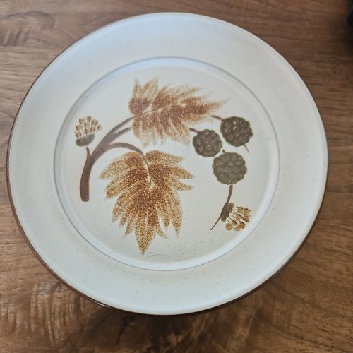 Denby cotswold side - denby, plates
