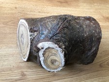 Lot F - 1 Piece Of 4 Years