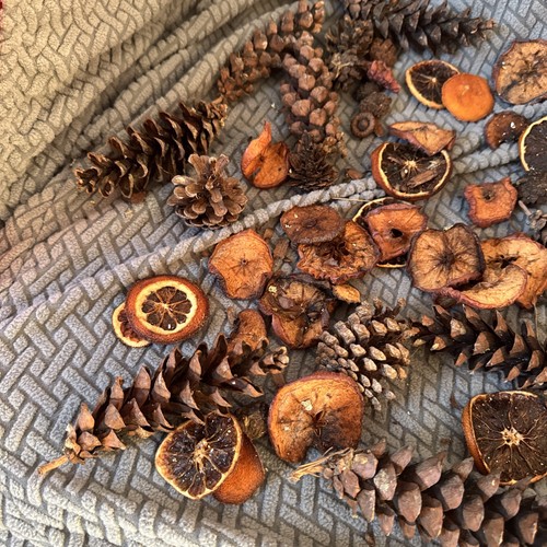 Job lot mixed pine fir - mixed,