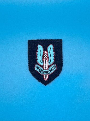 Special air service sas - air,