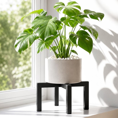 Plant stand outdoor indoor for - plant,