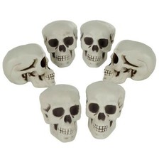 6 Pack Skulls 4" Plastic