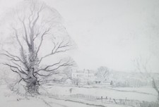 Original Pencil Drawing