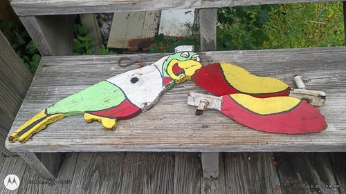 Vintage wooden sailor parrot - vintage,