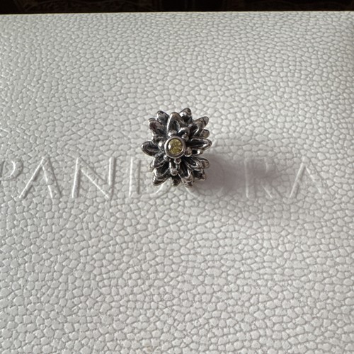 Retired pandora silver - retired,