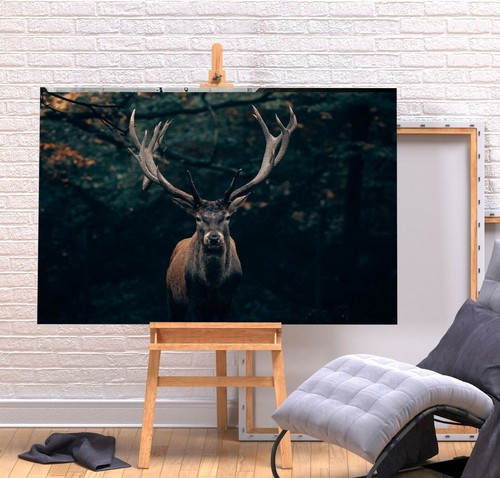Red stag deep framed - red,