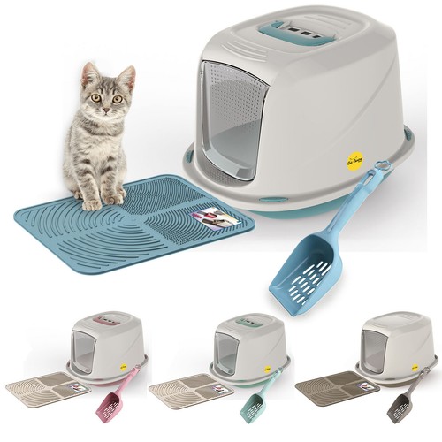 Hooded litter box kitten cat - kitten,