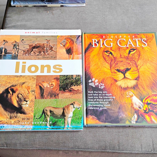 Animal families lions and - families,
