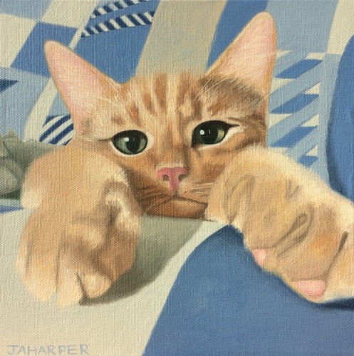Ginger cat art print - ,, limited