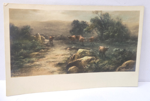 Elmer keene dartmoor cattle - dartmoor,