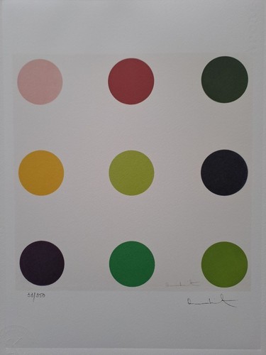 Damien hirst signed - hirst,