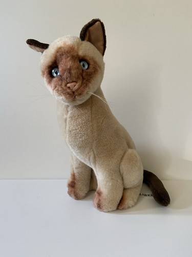 Siamese sitting cat - siamese, soft