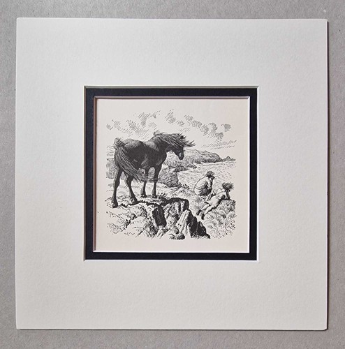 Tunnicliffe pony clifftop - tunnicliffe,