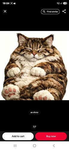 Giant cat sleeping - sleeping, for