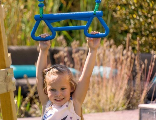 Jungle gym monkey bar rings - gym,
