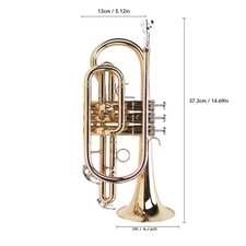 Trumpet set gold brass - trumpet,