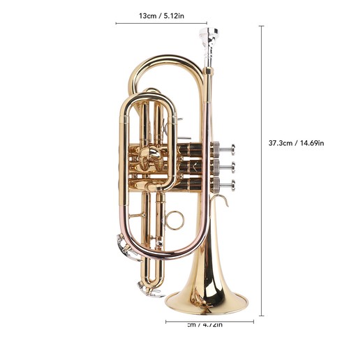 Trumpet set gold - set,