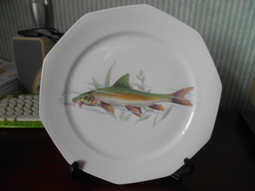 Multi sided plate with - a, a