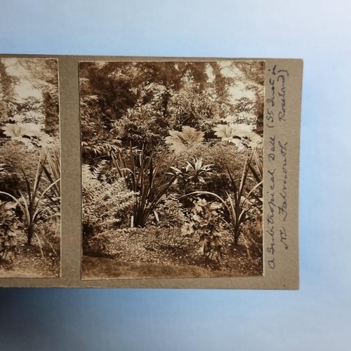 Falmouth cornwall stereoview - falmouth,