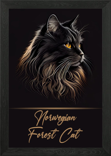 Norwegian forest cat framed - forest,