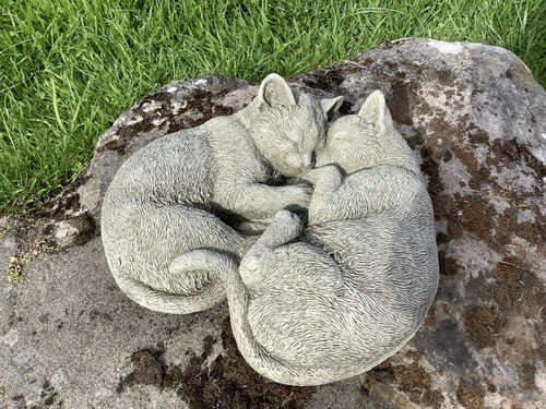 Stond garden cuddling cats - garden,