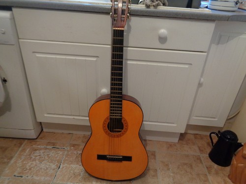 Hohner acoustic guitar model - hohner,