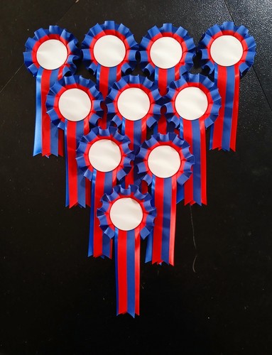 10x rosettes blue - rosettes., red