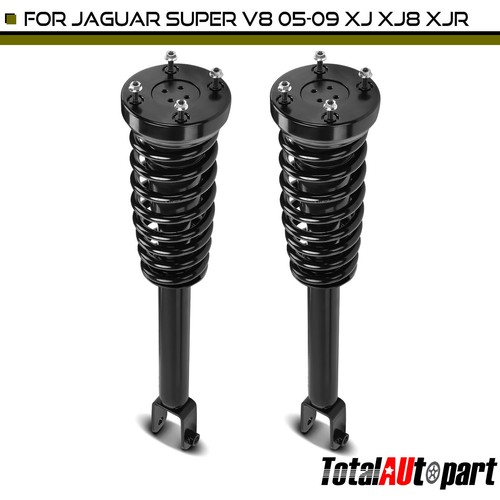 Complete strut coil - 2x, &