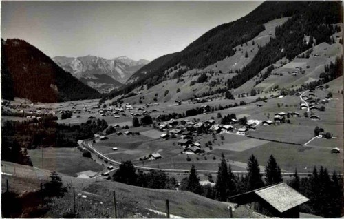 Stephen the simmental - st.,
