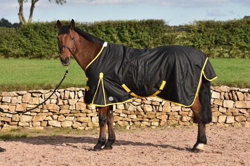 Turnout rug horse - horse,