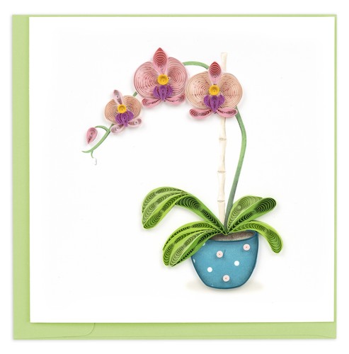Quilling pink potted orchid - potted,