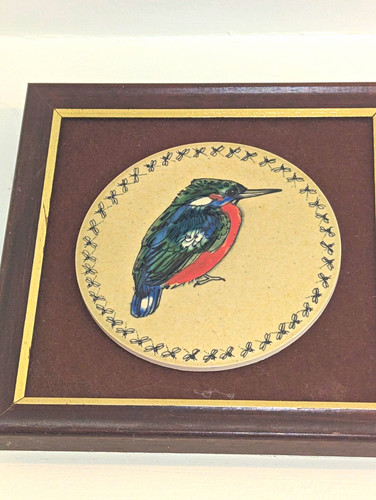 Framed kingfisher bird print - framed,