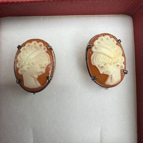 Shell cameo vintage - cameo, earrings